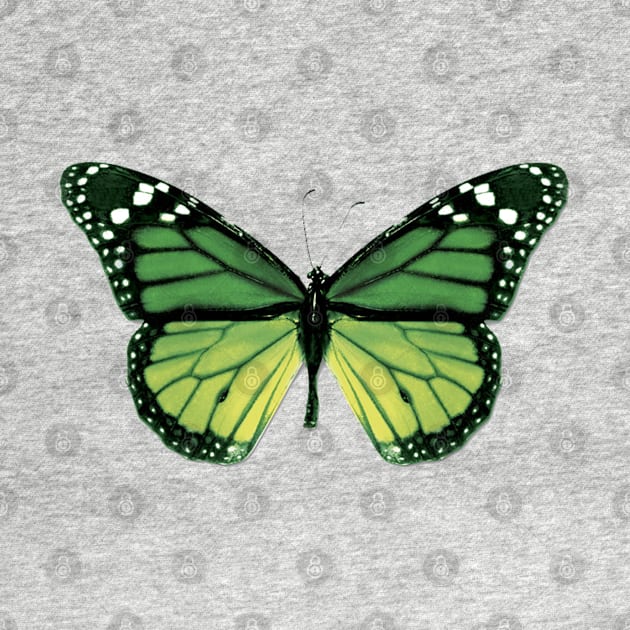 Green Butterfly by MAMMAJAMMA